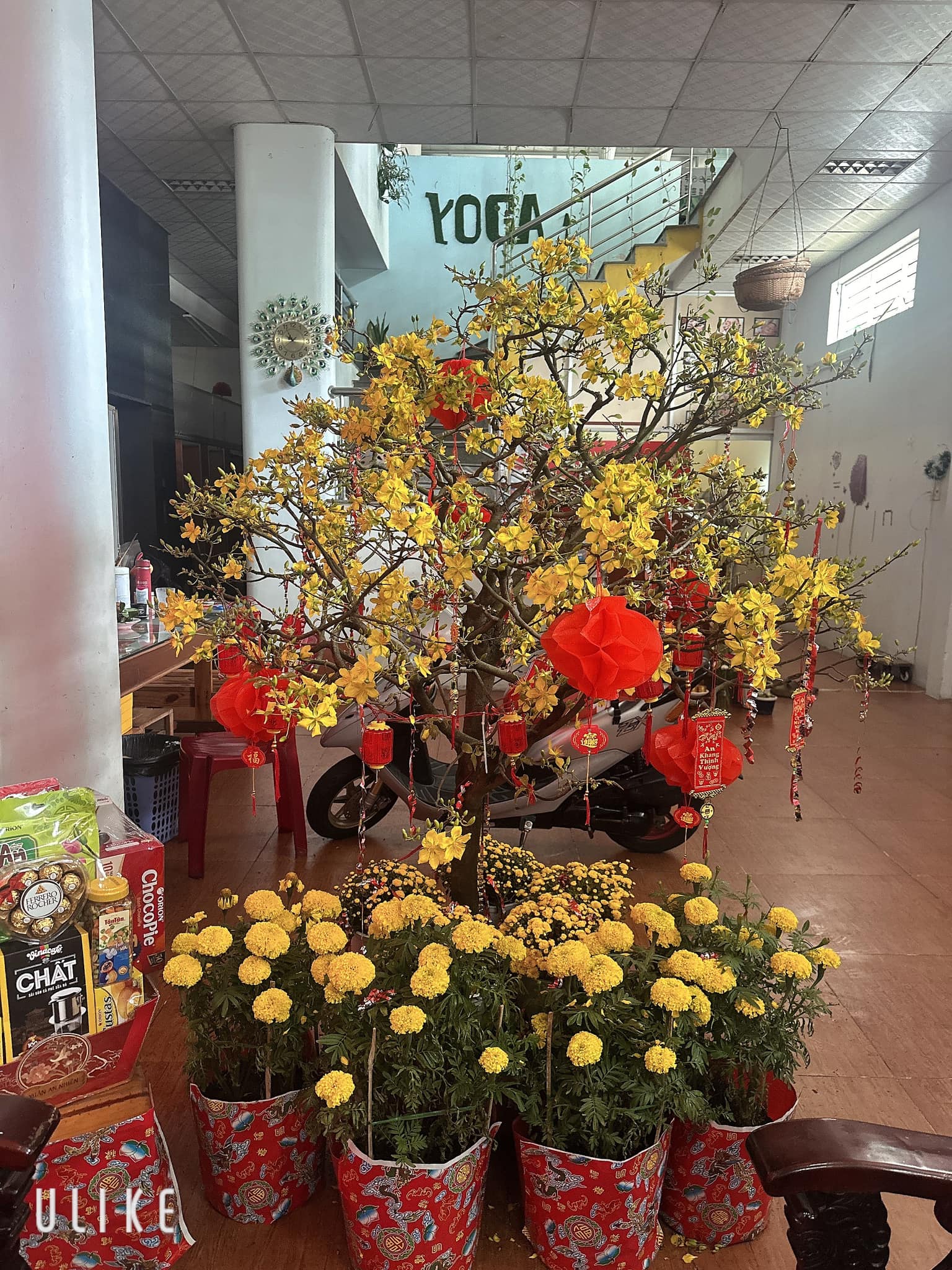 [???] Nắng Yoga – Grow Your Health  ? Top1Yoga ??‍♀️  NẮNG YOGA khai thảm vào mùng 6 tháng giêng (3/2/2025). 
 Tụi mình đã chuẩn bị bao Lì Xì  đỏ để mọi người hái Lộc may mắn đầu năm !!!
 bắt đầu năm con rắn  , shares-1✔️ , likes-10❤️️ , date-2025-02-02 15:47:50????????