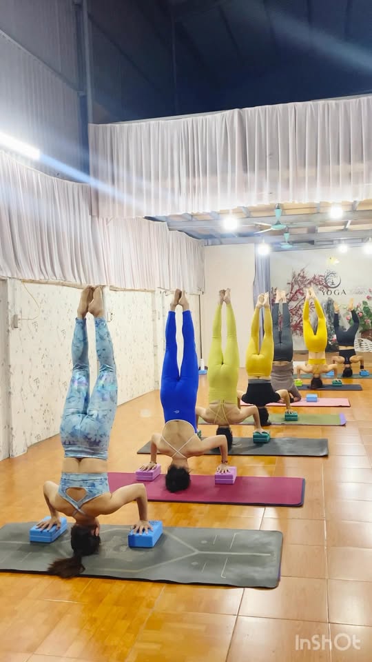 [🆕🇻🇳] Tố Trinh Yoga & Fitness  🧘 Top1Yoga 🤸🏻‍♀️ Căng thẳng, mệt mỏi, thiếu năng lượng

Chỉ 60 phút mỗi ngày, lưng đỡ đau, cơ thể linh hoạt, tinh thần nhẹ nhàng

Hãy tới ngay YOGA TỐ TRINH  để trải nghiệm , shares-0✔️ , likes-1❤️️ , date-2025-02-22 15:06:05🇻🇳🇻🇳🇻🇳📰🆕