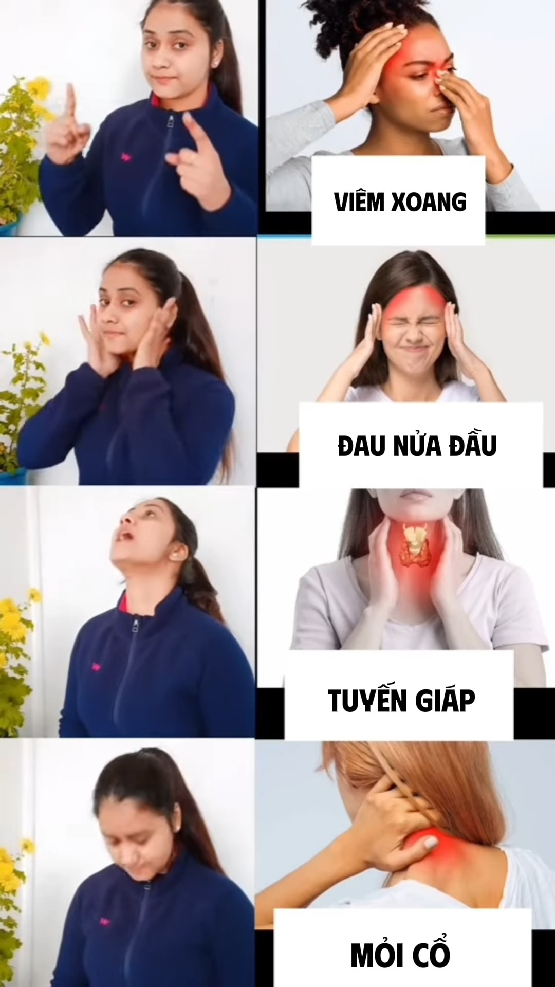 [🆕🇻🇳] Tambooks Yoga  – Học viện Yoga Online Tambooks Việt Nam 🧘 Top1Yoga 🤸🏻‍♀️ Buổi sáng là khởi đầu của một hành trình mới. 

Hãy để từng hơi thở đánh thức nguồn năng lượng, từng chuyển động đánh thức sự bình yên.

Cùng HLV Hiền Xuân , shares-0✔️ , likes-14❤️️ , date-2025-03-18 13:00:53🇻🇳🇻🇳🇻🇳📰🆕