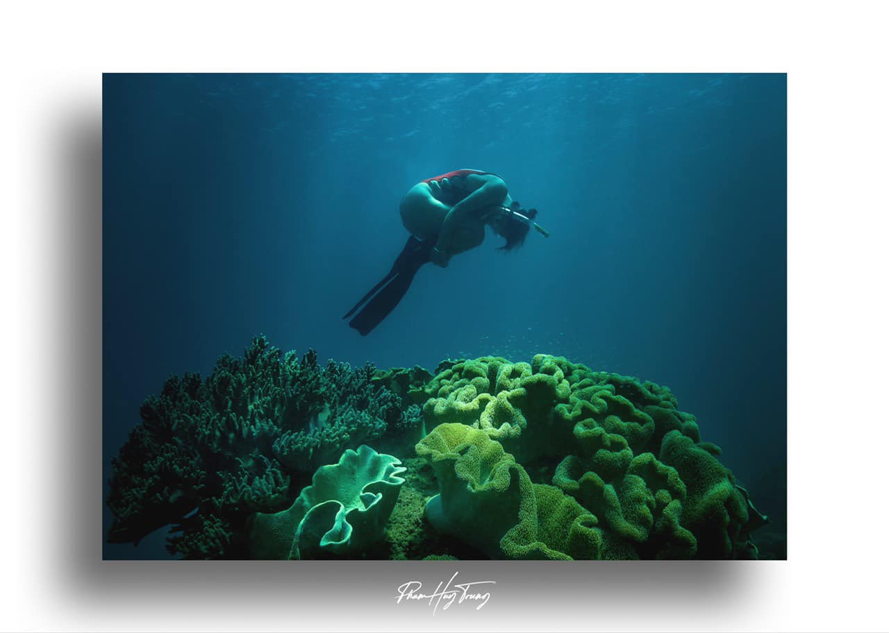 [🆕🇻🇳] Yoga Sức Sống Mới 🧘 Top1Yoga 🧘 “Trường năng lượng của con người rất kỳ diệu. Khi bạn tập trung vào bản thân, giữ mình tỉnh táo và độc lập, mọi thứ sẽ đâu vào đấy.”

#yogasucsongmoi
#61ti , shares-0✔️ , likes-6❤️️ , date-2025-03-11 17:49:42🇻🇳🇻🇳🇻🇳📰🆕