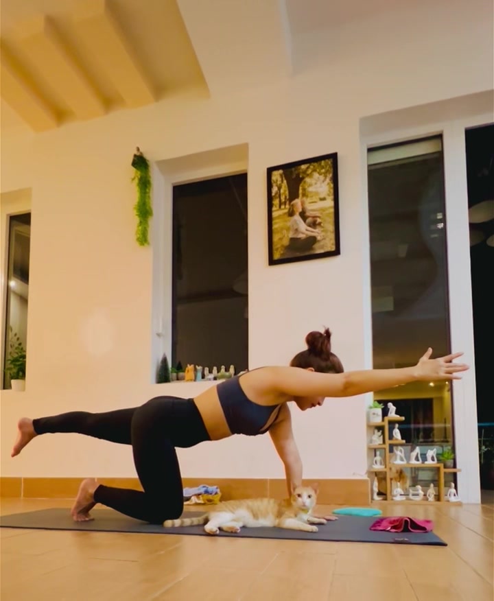 [???] GOFIT – Ngọc Lâm Long Biên – HỆ THỐNG PHÒNG TẬP DÀNH RIÊNG CHO NỮ ? Top1Yoga ??‍♀️  , shares-0✔️ , likes-0❤️️ , date-2025-03-11 18:02:00????????