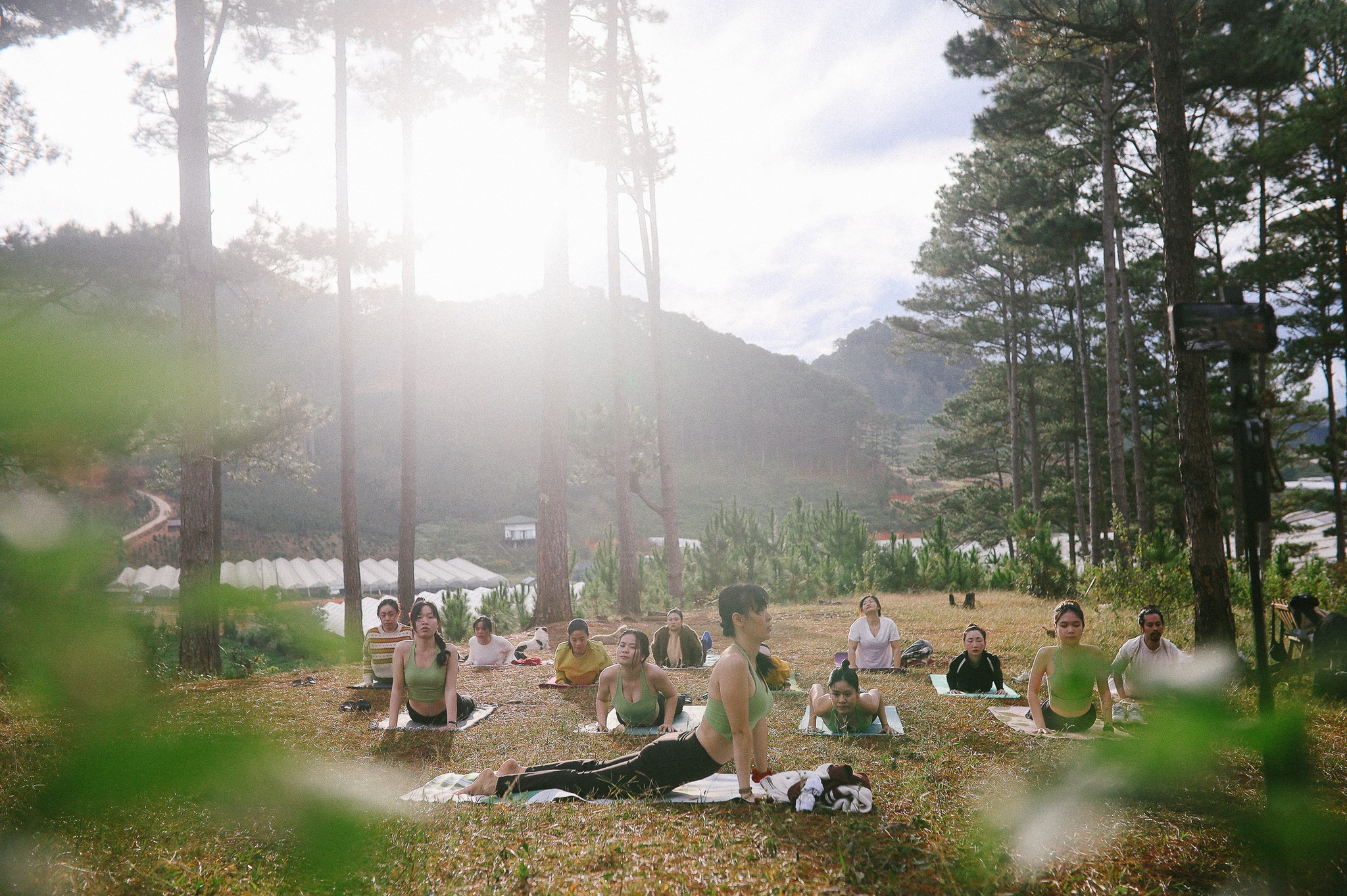 [🆕🇻🇳] Yoga Luna Thái Việt Nam 🧘 Top1Yoga 🤸🏻‍♀️  Yêu thương TTC 107 thật nhiều! 

Yêu thương bạn thật nhiều, và cảm ơn bạn đã dành rất nhiều tình cảm cho các giáo viên cũng như Học viện!

Hành trình của  , shares-0✔️ , likes-0❤️️ , date-2025-03-15 18:45:02🇻🇳🇻🇳🇻🇳📰🆕