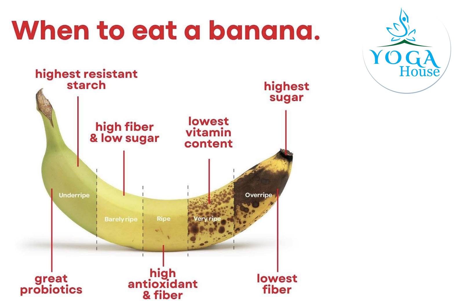 [???] Yoga House ? Top1Yoga ??‍♀️  ĂN CHUỐI ĐÚNG CÁCH – NHẬN NGAY 1001 LỢI ÍCH 

 Ăn chuối lúc nào là tốt nhất?
 Buổi sáng: Giúp khởi động ngày mới với năng lượng dồi dào. Kết hợp với sữa c , shares-0✔️ , likes-2❤️️ , date-2025-03-24 17:44:10????????