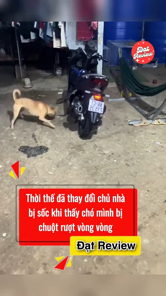 [🆕🇻🇳] Mẹ Ku Win – Quần áo và Phụ kiện Korea cao cấp Mẹ và Bé 🧑‍🧒❤️️👶⭐️  Bộ này mịn đẹp lắm nhưng e còn size 130 và 140 thoy ạ
 , shares-0✔️ , likes-0❤️️ , date-2025-07-20 01:43:24🇻🇳🇻🇳🇻🇳📰🆕