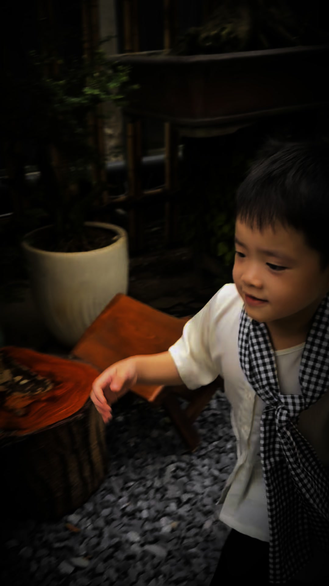 [🆕🇻🇳]  Dâu Tây & Kiwi Kids – Chuyên sỉ và lẽ thời trang trẻ em toàn quốc🧑‍🧒❤️️👶⭐️ DNEY
Bo cotton đóng mac disnep túi zip chữ
sz 90-150 (9-26kg)
 , shares-0✔️ , likes-0❤️️ , date-2025-05-27 23:41:24🇻🇳🇻🇳🇻🇳📰🆕