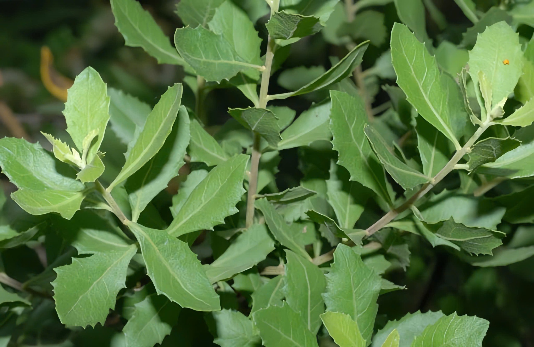 [🆕🇻🇳] Hà Vân Yoga 🧘 Top1Yoga 🤸🏻‍♀️  , shares-0✔️ , likes-6❤️️ , date-2025-09-14 16:19:19🇻🇳🇻🇳🇻🇳📰🆕