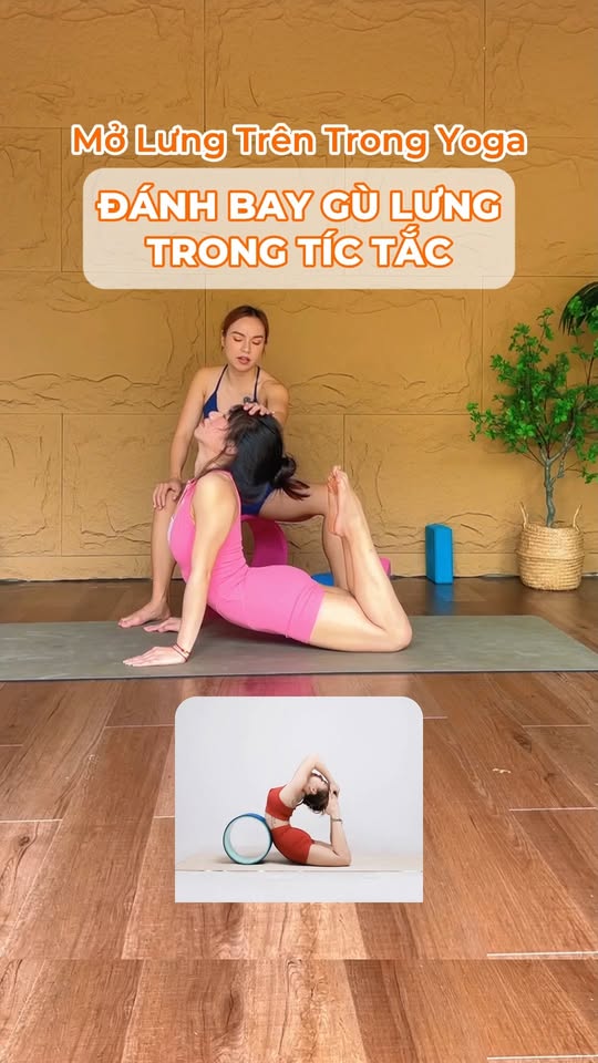 [🆕🇻🇳] Yogi Xuân – Founder of Raja Yoga – Trọng tài quốc gia  [🆕Top1Vietnam🇻🇳] 🧘 Top1Yoga 🤸🏻‍♀️ Tập tư thế nâng cao mà chưa biết điều này – đau lưng không sớm thì muộn, chấn thương chỉ còn là chuyện khi nào!
.
.
.
.
.
#yoga #hlvyoga #rajayoga #yogixua , shares-0✔️ , likes-55❤️️ , date-2025-10-23 02:01:33🇻🇳🇻🇳🇻🇳📰🆕