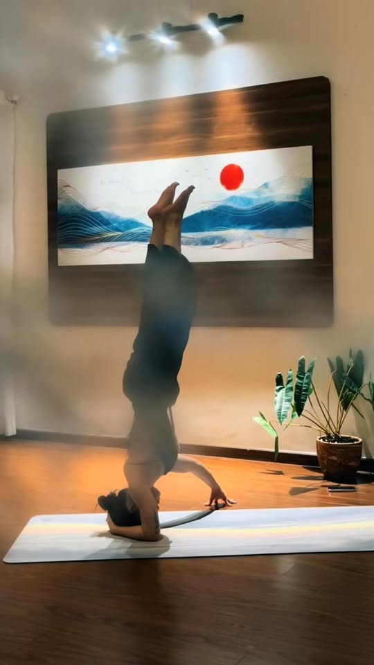 [🆕🇻🇳] Savary Yoga & Dance (Hà Nội) – Phòng tập yoga 🧘 Top1Yoga 🤸🏻‍♀️   Cùng HLV Lê Hòa chinh phục Yoga!
     Mỗi động tác khó trong yoga không chỉ là thử thách với cơ thể…
mà còn là hành trình rèn luyện sự kiên nhẫn và lòng  , shares-0✔️ , likes-11❤️️ , date-2025-11-12 03:02:17🇻🇳🇻🇳🇻🇳📰🆕