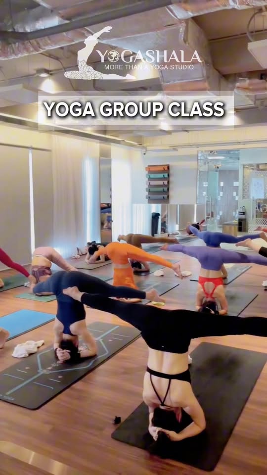 [🆕🇻🇳] YOGA SHALA – Bậc thầy ẤN ĐỘ – Đẳng cấp YOGA 🧘 Top1Yoga 🧘 𝐇𝐨̣̂𝐢 𝐕𝐢𝐞̂𝐧 𝐧𝐡𝐚̀ 𝐘𝐨𝐠𝐚𝐬𝐡𝐚𝐥𝐚 𝐠𝐢𝐨̉𝐢 𝐠𝐢𝐚𝐧𝐠 đ𝐨̂̀𝐧𝐠 đ𝐞̂̀𝐮, 𝐥𝐚𝐧 𝐭𝐨̉𝐚 𝐧𝐚̆𝐧𝐠 𝐥𝐮̛𝐨̛̣𝐧𝐠 𝐭𝐚̣𝐢 𝐘𝐨𝐠𝐚𝐬𝐡𝐚𝐥𝐚   Các chị hội viên ơi, tag tên mình và bạn bè trong clip nào! # , shares-0✔️ , likes-25❤️️ , date-2025-12-04 02:10:23🇻🇳🇻🇳🇻🇳📰🆕