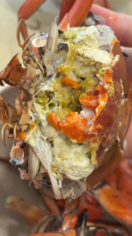 [🆕🇻🇳] Thế Giới Sầu Riêng – Cung Cấp Các Loại Sầu Riêng Chín Cây Sạch 100% organic 🍔 Top1Food  🍜 Xe Vượng Phát đã cập nhật ảnh đại diện của mình.
 , shares-0✔️ , likes-2❤️️ , date-2025-11-25 02:01:25🇻🇳🇻🇳🇻🇳📰🆕