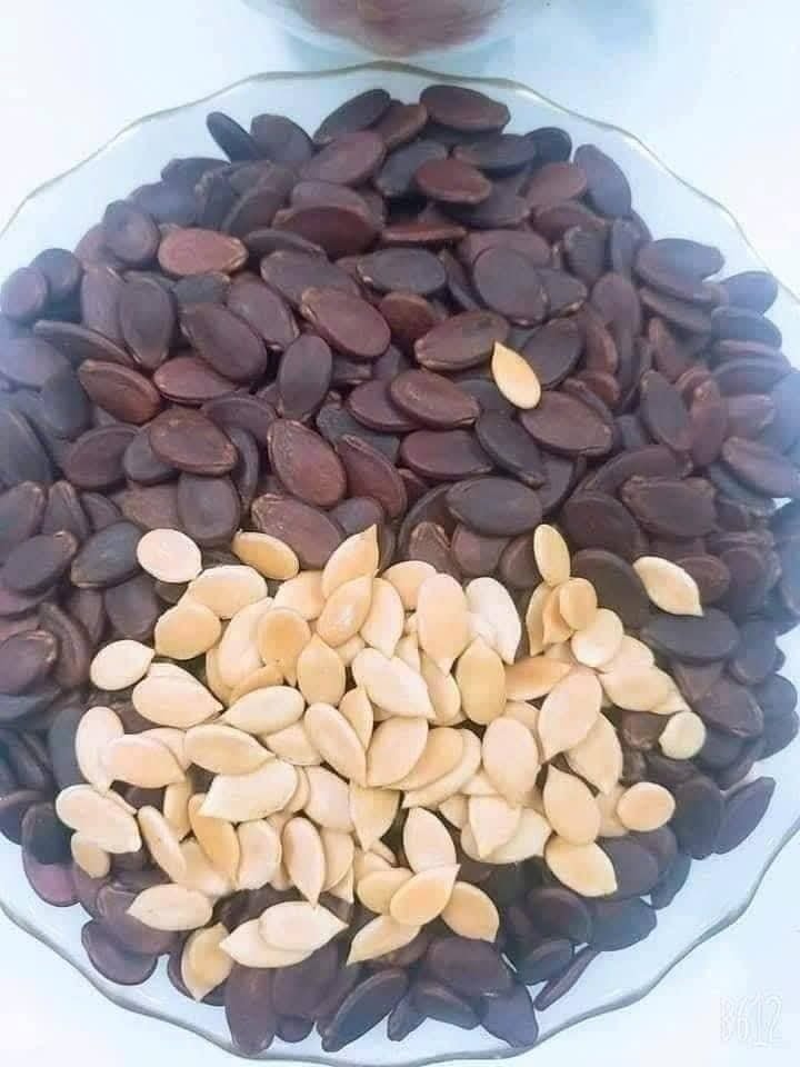 [🆕🇻🇳] Tổng Kho Ăn Vặt Miền Trung – chuyên các món ăn vặt thịnh hành nhất hiện nay 🍔 Top1Food  🍜 Nhà e năm nay phải về hạt dưa Thái Sơn siêu ngon này vì khách năm nào cũng hỏi mãi . 
 𝐻𝑎̣𝑡 𝑑𝑢̛𝑎 10 𝐻𝐴̣𝑇 𝐶𝐻𝐴̆́𝐶 10 𝐴̣

𝗛𝗔̣𝗧 𝗗𝗨̛𝗔 𝗧𝗛𝗔́𝗜 𝗦𝗢̛𝗡 𝗚𝗜𝗔 𝗟𝗔𝗜 𝗥𝗔𝗡𝗚 𝗖𝗨 , shares-0✔️ , likes-2❤️️ , date-2025-12-22 12:38:49🇻🇳🇻🇳🇻🇳📰🆕