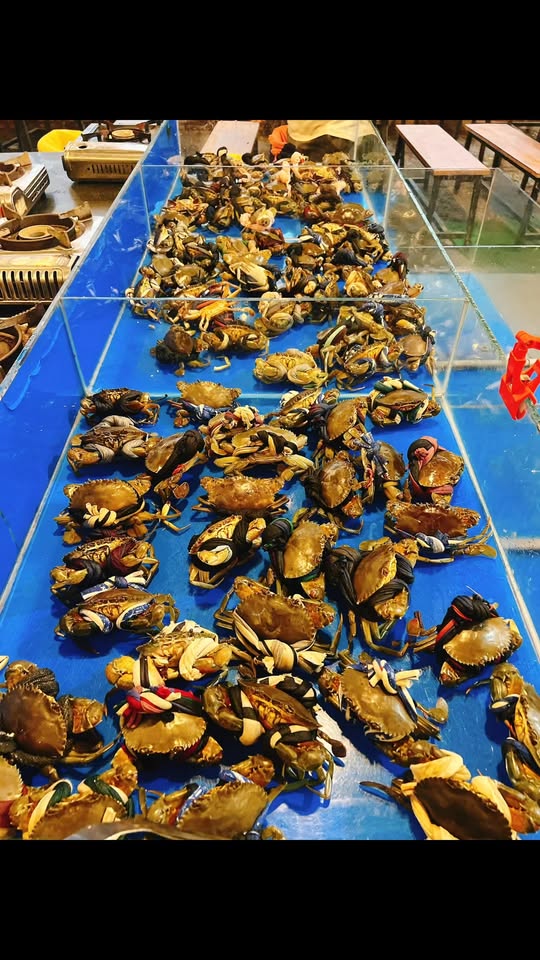 [🆕🇻🇳] Bếp Má 5 Online – Thực phẩm & Đồ uống 🍔 Top1Food  🍜 Bếp mở thêm Telegram của Bếp Má Năm để cập nhật:
– Menu trong ngày
– Báo món có / món hết
– Ưu đãi nhỏ cho khách thân quen
– Có món mới là báo liền, không  , shares-1✔️ , likes-11❤️️ , date-2025-12-31 19:56:07🇻🇳🇻🇳🇻🇳📰🆕