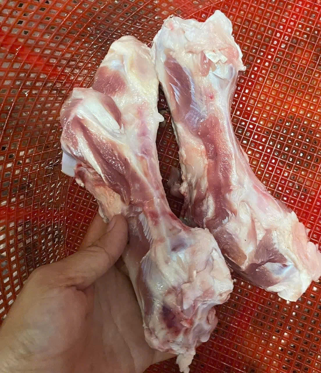 [🆕🇻🇳] Tài Phát Foods Giá Sỉ – Nhà bán buôn thực phẩm 🍔 Top1Food  🍜 XƯƠNG TRƠ HẦM NƯỚC CHỈ 1X  – CHUẨN CHỈNH, NGON NGỌT 
 Hỗ trợ cắt theo yêu cầu và giao hàng tận nơi
 Phần xương được ưa chuộng nhất để hầm nước dùng !
 Phù  , shares-0✔️ , likes-0❤️️ , date-2026-01-03 15:49:28🇻🇳🇻🇳🇻🇳📰🆕