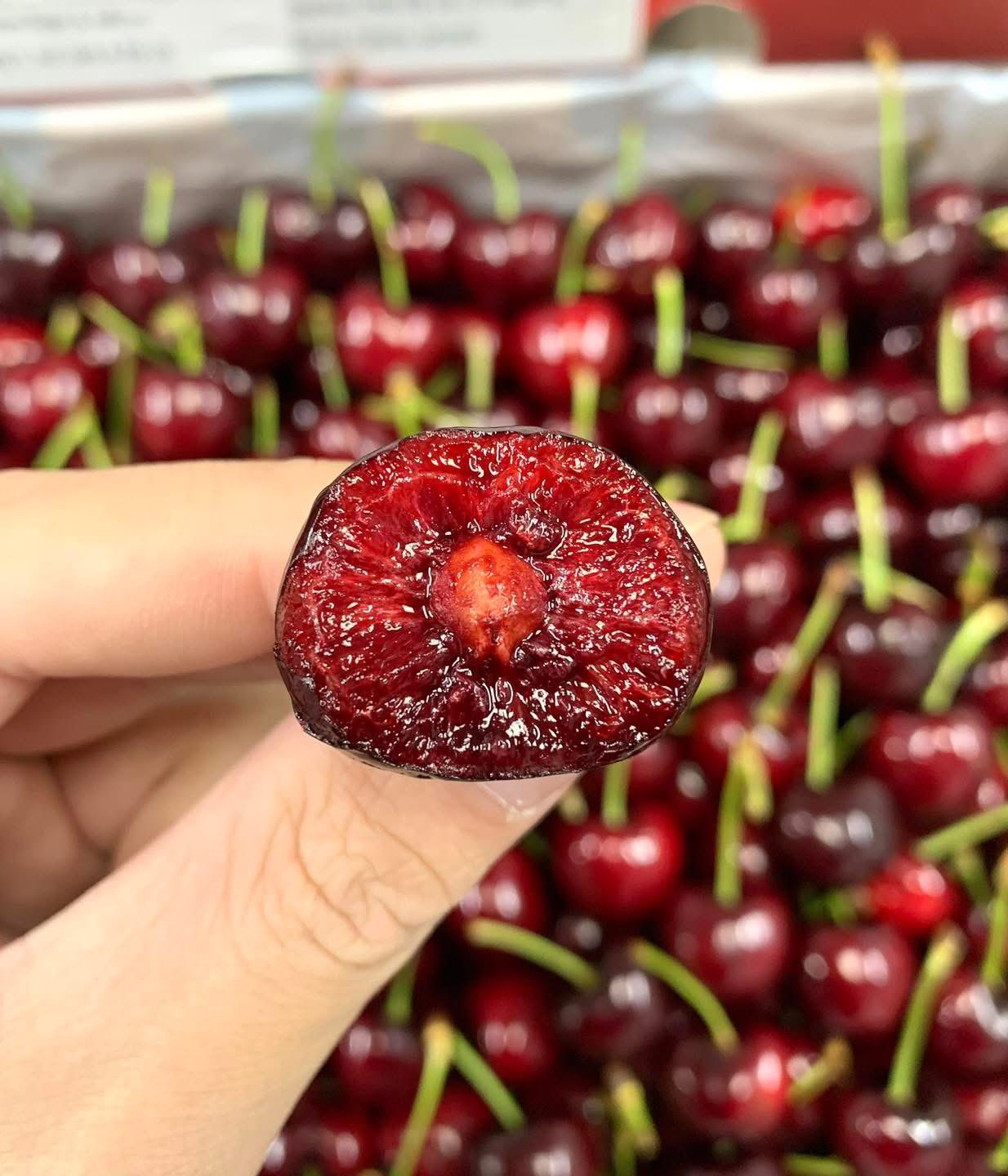 [🆕🇻🇳] Nông Sản Bảo Lâm HCM – Chợ nông sản 🍔 Top1Food  🍜 CHỈ #269k/KG CHERRY 
Cherry úc sale đậm chỉ 269k (.) tại bài 

SALE SẬP SÀN CHERRY  HÔM NAY 20kg

 SIÊU  PHẨM CHERRY  ĐỔ BỘ 

Cherry liên tục đáp và khẳng  , shares-1✔️ , likes-16❤️️ , date-2025-12-28 17:13:49🇻🇳🇻🇳🇻🇳📰🆕