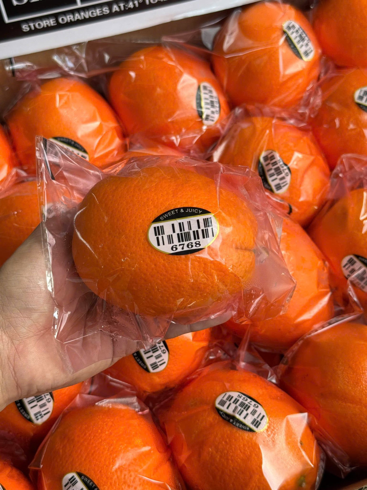 [🆕🇻🇳] Green World Fruit – Thế giới trái cây sạch 🍔 Top1Food  🍜 CAM VÀNG ĐÀI EM VỀ CHUYẾN MỚI SÁNG NAY – MÃ ĐẸP SÁNG BÓNG, CỨNG TRÁI THƠM NGỌT 
#89K_KG
 , shares-0✔️ , likes-0❤️️ , date-2026-01-04 18:16:06🇻🇳🇻🇳🇻🇳📰🆕