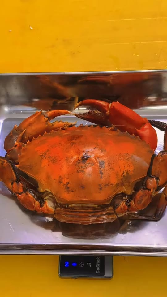 [🆕🇻🇳] Dallas Cakes – Bánh kem bắp Bánh sinh nhật tươi và không có thêm chất bảo quản 🍔 Top1Food  🍜 Dể đặt bánh, quý khách vui lòng:

1. Nhắn tin vào Messenger Facebook (8-22h).
2. Gọi vào số hotline: 028.3535.4277 (8:30-20h), hoặc 028.6293.4975 (8:30-21h , shares-0✔️ , likes-5❤️️ , date-2026-01-05 01:59:22🇻🇳🇻🇳🇻🇳📰🆕